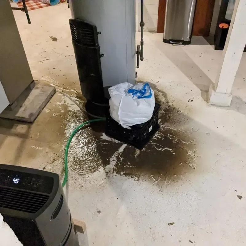 Sewage Backup Cleanup Service in Charlack, MO